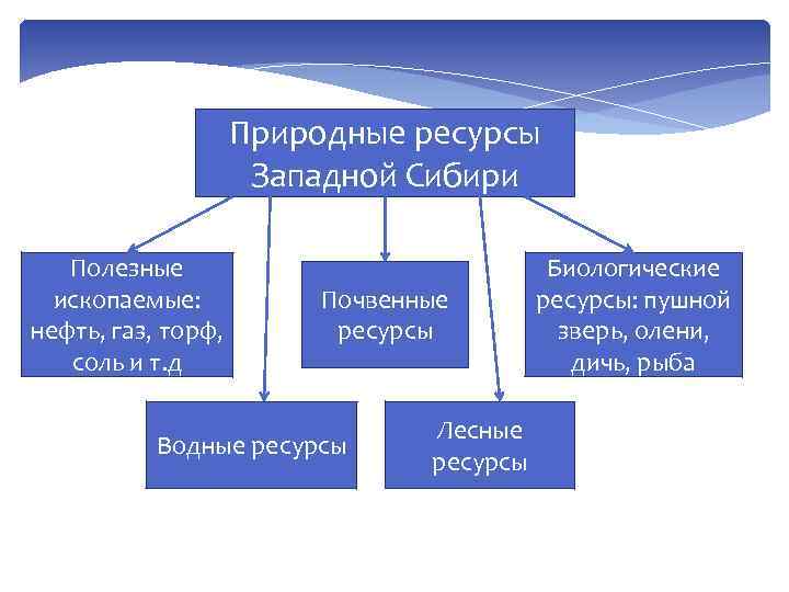 Природные ресурсы Западной Сибири Полезные ископаемые: нефть, газ, торф, соль и т. д Почвенные