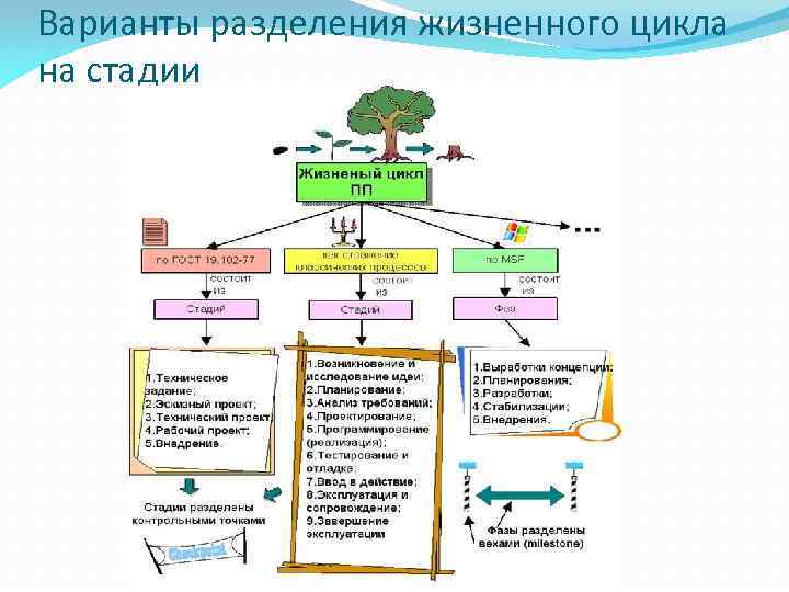 Варианты разделения жизненного цикла на стадии 