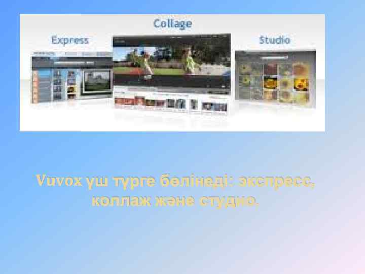 Vuvox үш түрге бөлінеді: экспресс, коллаж және студио. 