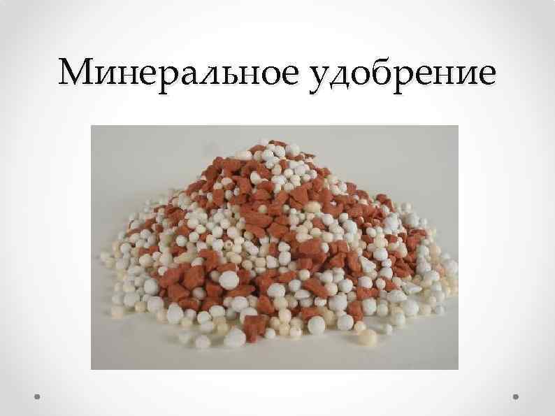 Минеральное удобрение 