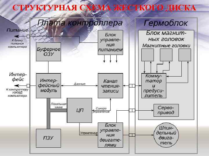 Структурная схема жесткого диска