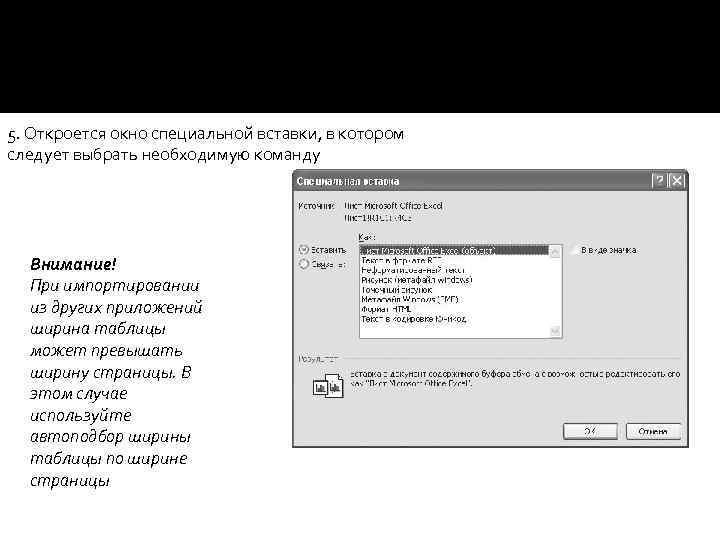5. Откроется окно специальной вставки, в котором следует выбрать необходимую команду Внимание! При импортировании