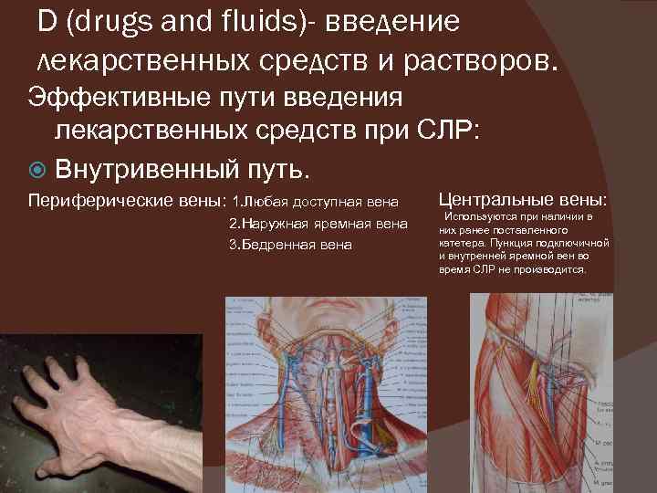 D (drugs and fluids)- введение лекарственных средств и растворов. Эффективные пути введения лекарственных средств