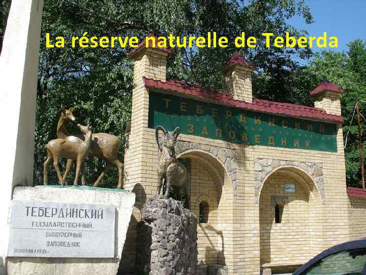 La réserve naturelle de Teberda 