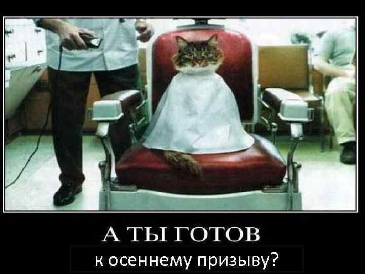 к осеннему призыву? 