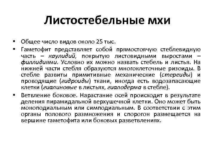 Листостебельные мхи • Общее число видов около 25 тыс. • Гаметофит представляет собой прямостоячую