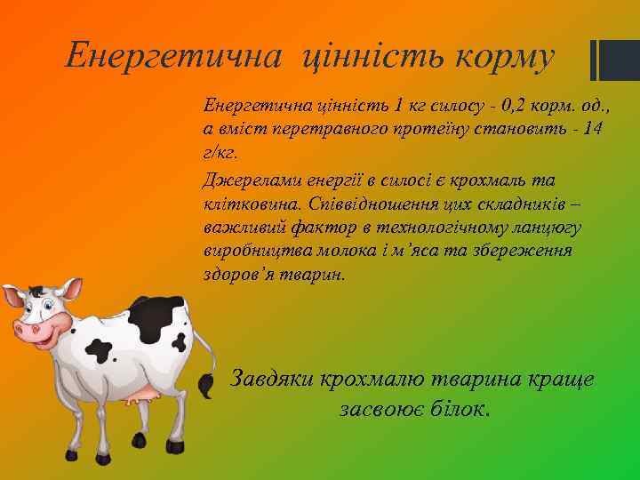 Енергетична цінність корму Енергетична цінність 1 кг силосу - 0, 2 корм. од. ,