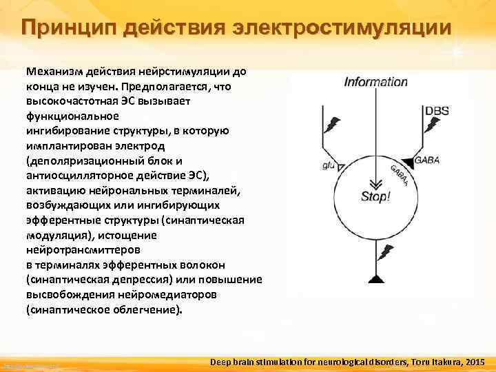 Принцип действия электростимуляции Механизм действия нейрстимуляции до конца не изучен. Предполагается, что высокочастотная ЭС