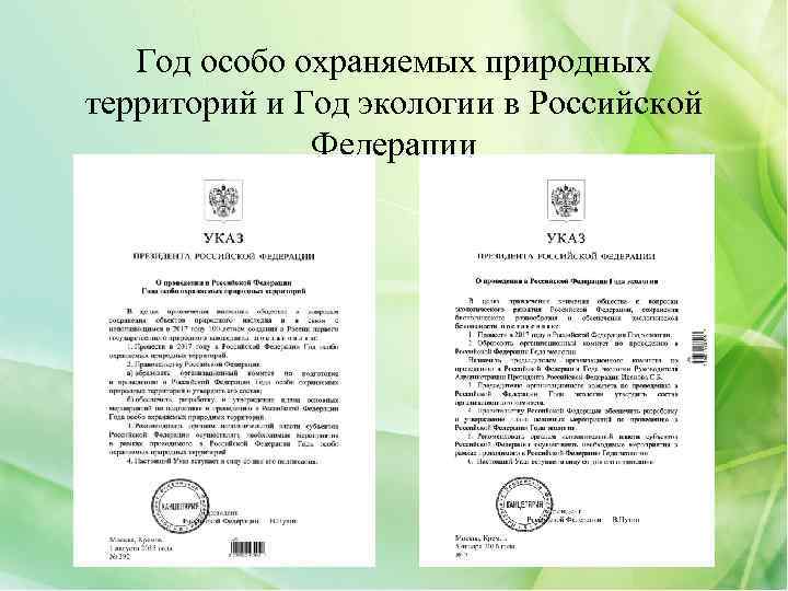 Год особо охраняемых природных территорий и Год экологии в Российской Федерации 