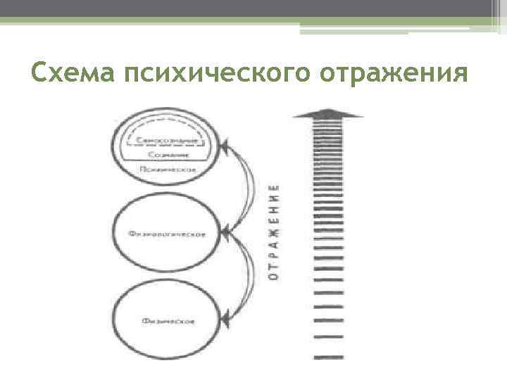 Схема отражающая