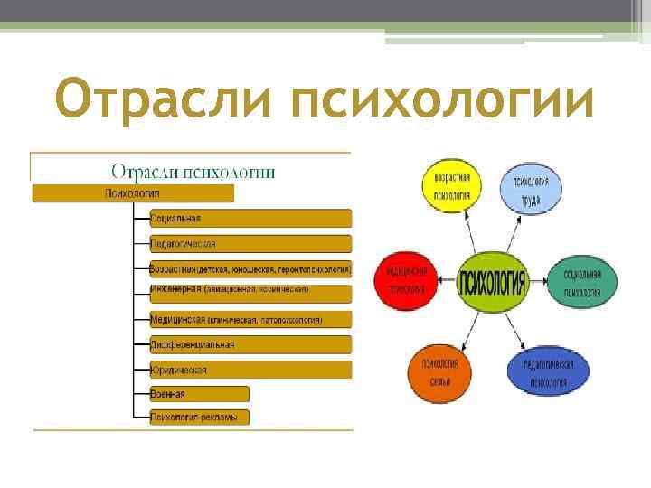 Отрасли психологии 