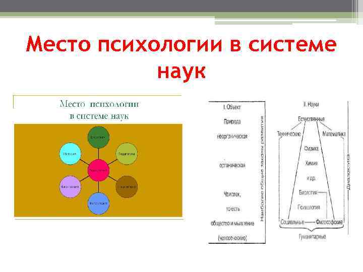 Место психологии в системе наук 