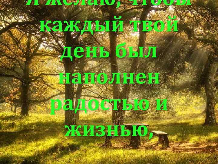 Я желаю, чтобы каждый твой день был наполнен радостью и жизнью, 