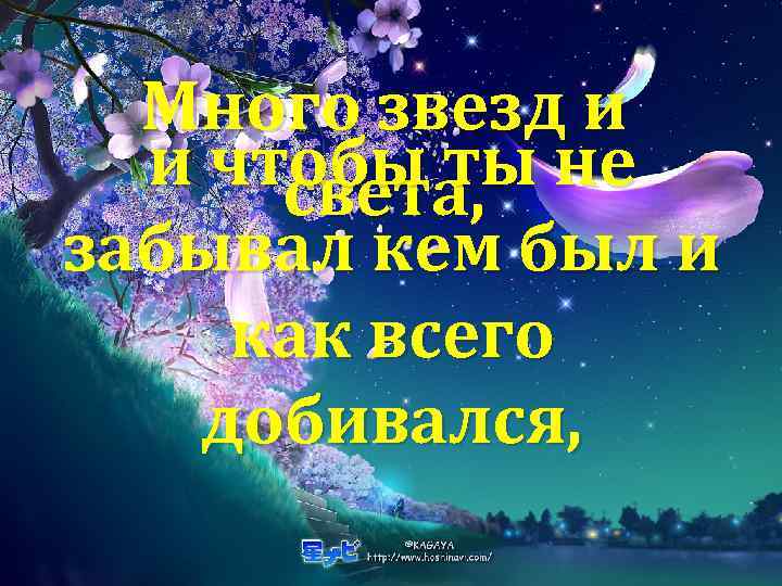 Много звезд и и чтобы ты не света, забывал кем был и как всего