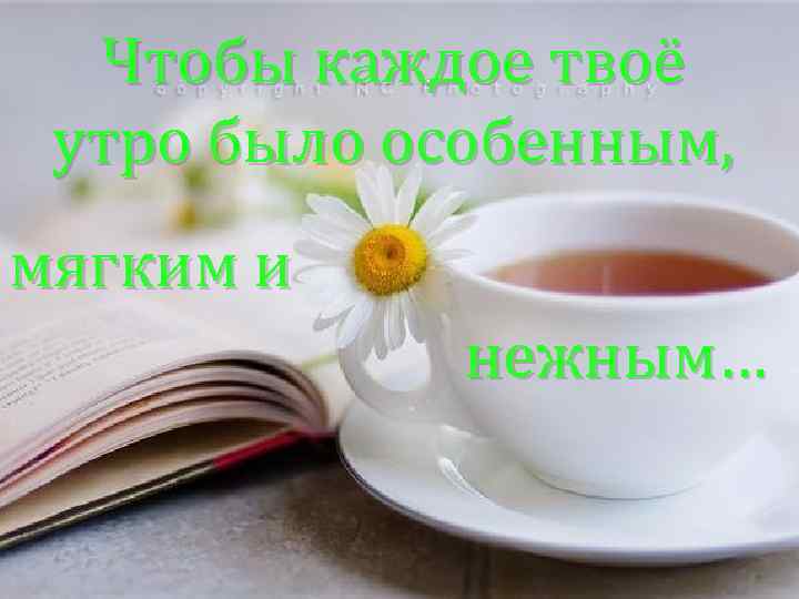 Чтобы каждое твоё утро было особенным, мягким и нежным… 