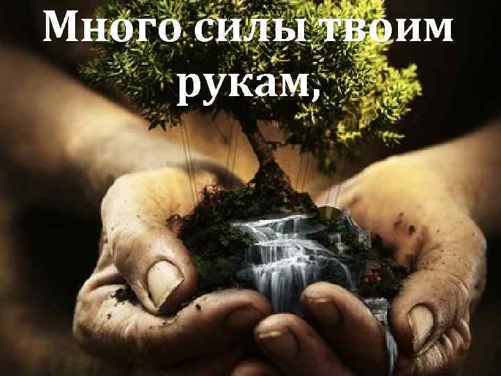 Много силы твоим рукам, 