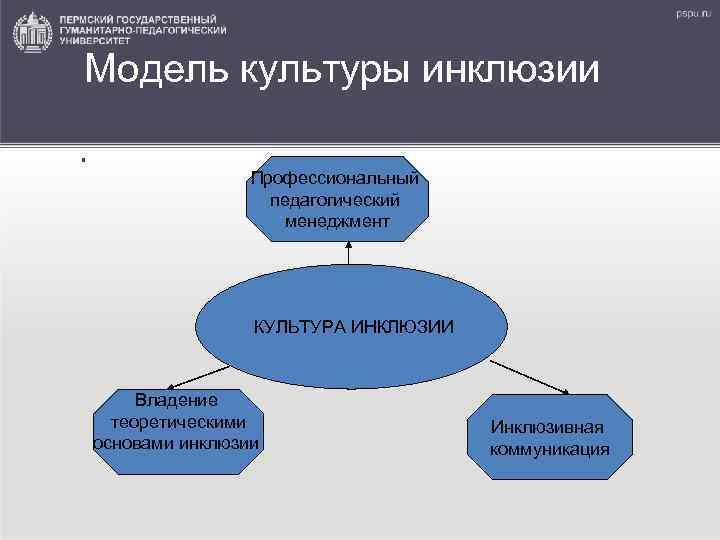 Модель культуры инклюзии. Профессиональный педагогический менеджмент КУЛЬТУРА ИНКЛЮЗИИ Владение теоретическими основами инклюзии Инклюзивная коммуникация