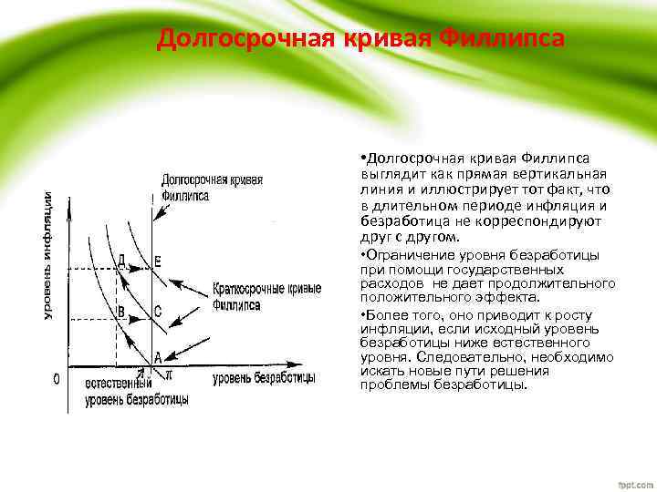 Долгосрочная кривая Филлипса • Долгосрочная кривая Филлипса выглядит как прямая вертикальная линия и иллюстрирует