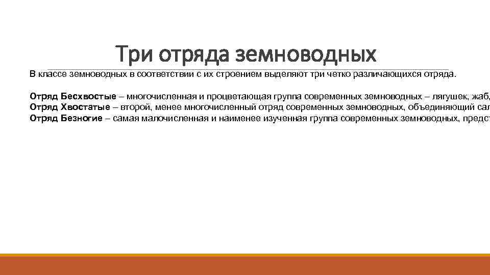 Три отряда земноводных В классе земноводных в соответствии с их строением выделяют три четко