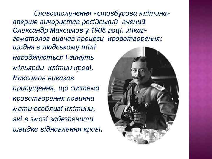 Словосполучення «стовбурова клітина» вперше використав російський вчений Олександр Максимов у 1908 році. Лікаргематолог вивчав