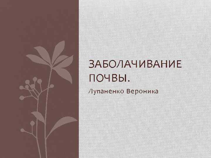 ЗАБОЛАЧИВАНИЕ ПОЧВЫ. Лупаненко Вероника 