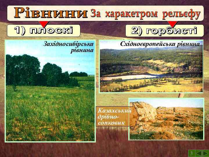 Західносибірська рівнина Східноєвропейська рівнина Казахський дрібносопковик 3 