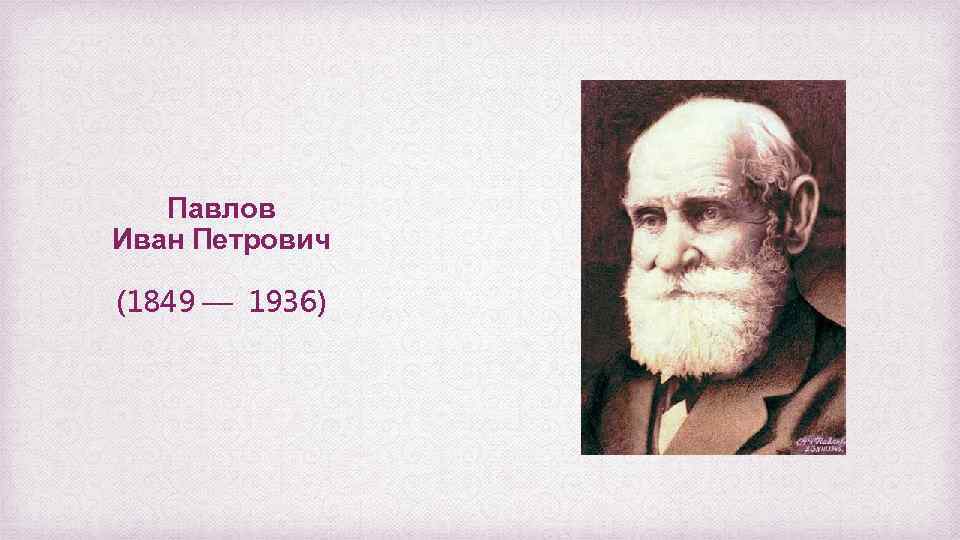 Павлов Иван Петрович (1849 — 1936) 