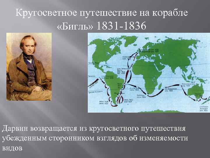 Кругосветное путешествие на корабле «Бигль» 1831 -1836 Дарвин возвращается из кругосветного путешествия убежденным сторонником