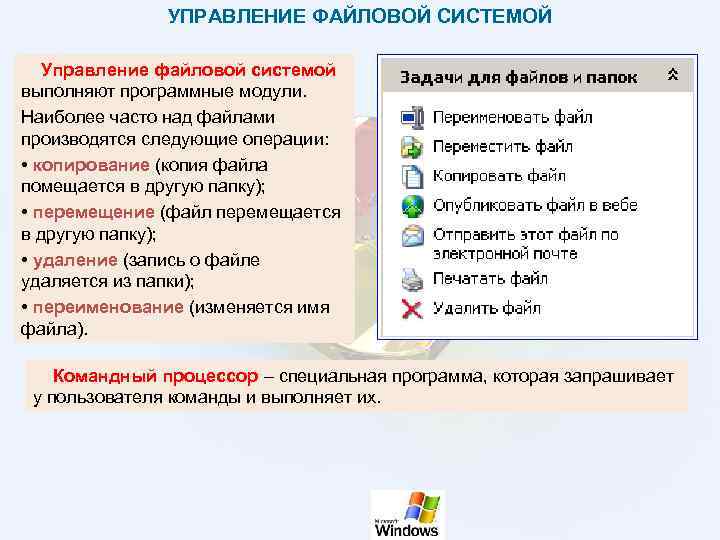 Система управления данными система управления файлами. Система управления данными система управления файлами
