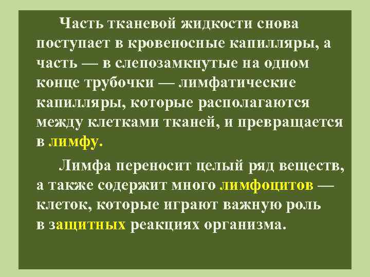 Часть тканевой жидкости снова поступает в кровеносные капилляры, а часть — в слепозамкнутые на