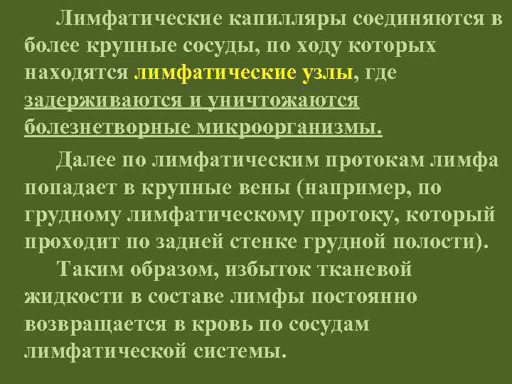 Лимфатические капилляры соединяются в более крупные сосуды, по ходу которых находятся лимфатические узлы, где