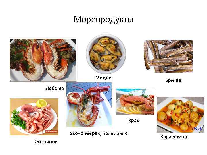 Морепродукты Мидии Бритва Лобстер Краб Усоногий рак, поллиципс Осьминог Каракатица 