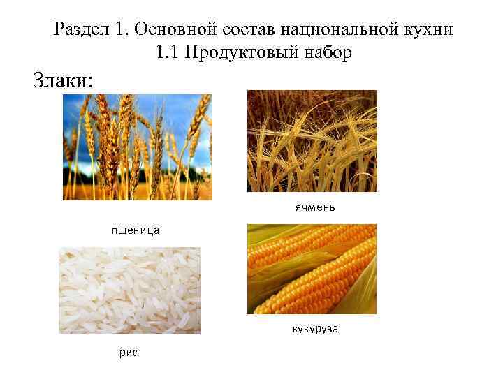 Раздел 1. Основной состав национальной кухни 1. 1 Продуктовый набор Злаки: ячмень пшеница кукуруза