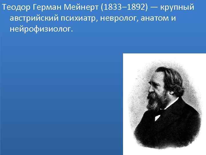 Теодор Герман Мейнерт (1833– 1892) — крупный австрийский психиатр, невролог, анатом и нейрофизиолог. 