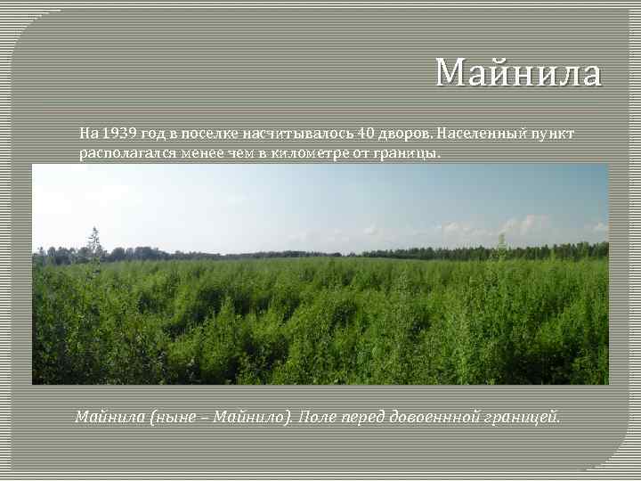 Майнила На 1939 год в поселке насчитывалось 40 дворов. Населенный пункт располагался менее чем