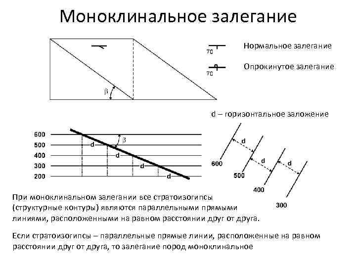 Моноклинальное залегание Нормальное залегание Опрокинутое залегание d – горизонтальное заложение При моноклинальном залегании все