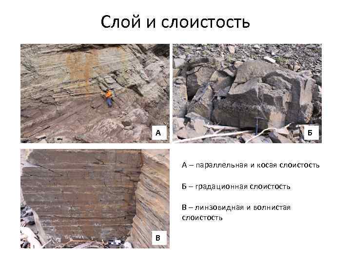 Слой и слоистость А Б А – параллельная и косая слоистость Б – градационная