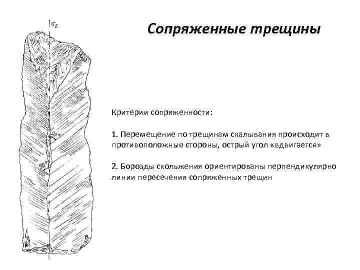 Сопряженные трещины Критерии сопряженности: 1. Перемещение по трещинам скалывания происходит в противоположные стороны, острый