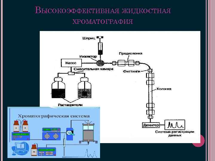 ВЫСОКОЭФФЕКТИВНАЯ ЖИДКОСТНАЯ ХРОМАТОГРАФИЯ 