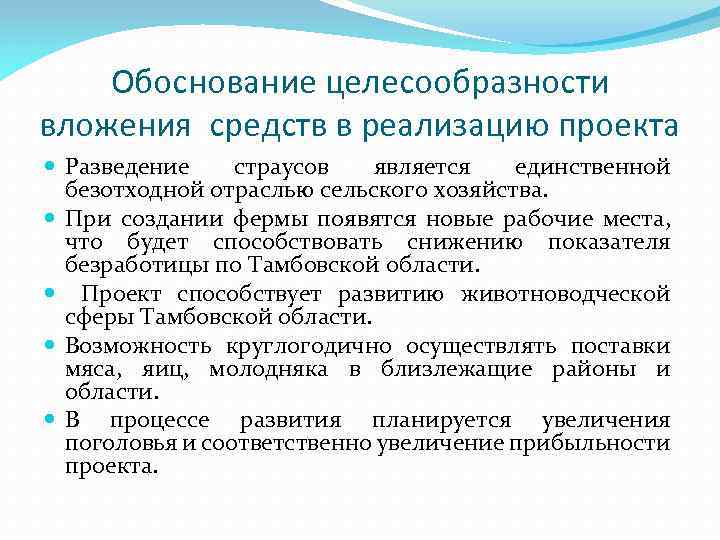 Обоснование экономической целесообразности реализации проекта