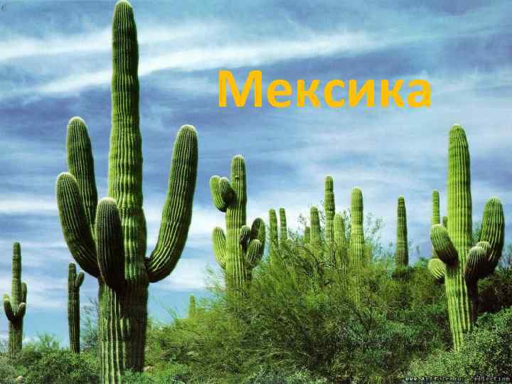 Мексика 