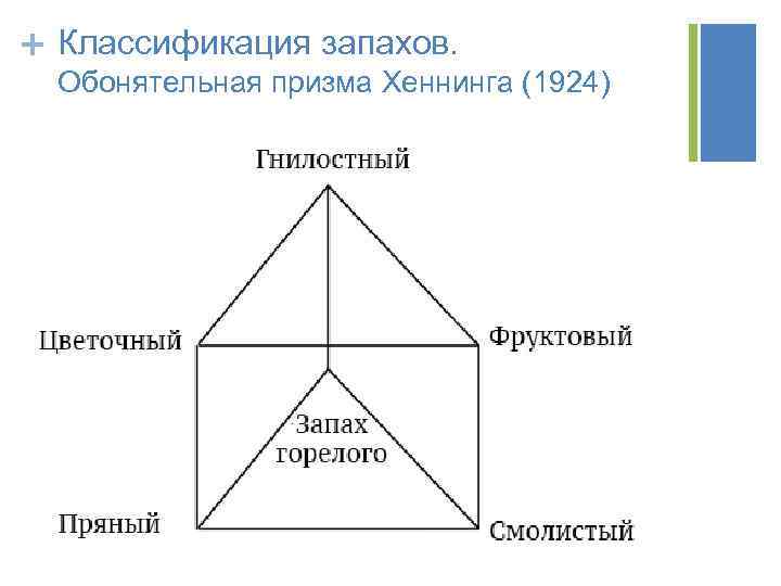 + Классификация запахов. Обонятельная призма Хеннинга (1924) 