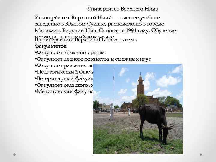 Университет Верхнего Нила — высшее учебное заведение в Южном Судане, расположено в городе Малакаль,