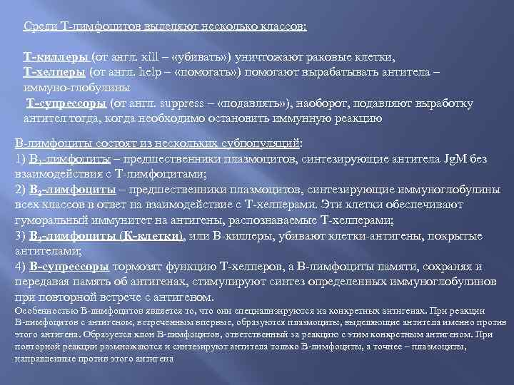 Среди Т‑лимфоцитов выделяют несколько классов: Т‑киллеры (от англ. кill – «убивать» ) уничтожают раковые