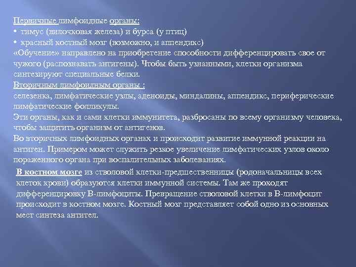 Первичные лимфоидные органы: • тимус (вилочковая железа) и бурса (у птиц) • красный костный