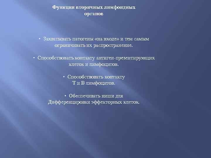 Функции вторичных лимфоидных органов • Захватывать патогены «на входе» и тем самым ограничивать их