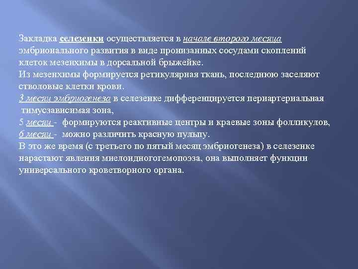 Закладка селезенки осуществляется в начале второго месяца эмбрионального развития в виде пронизанных сосудами скоплений