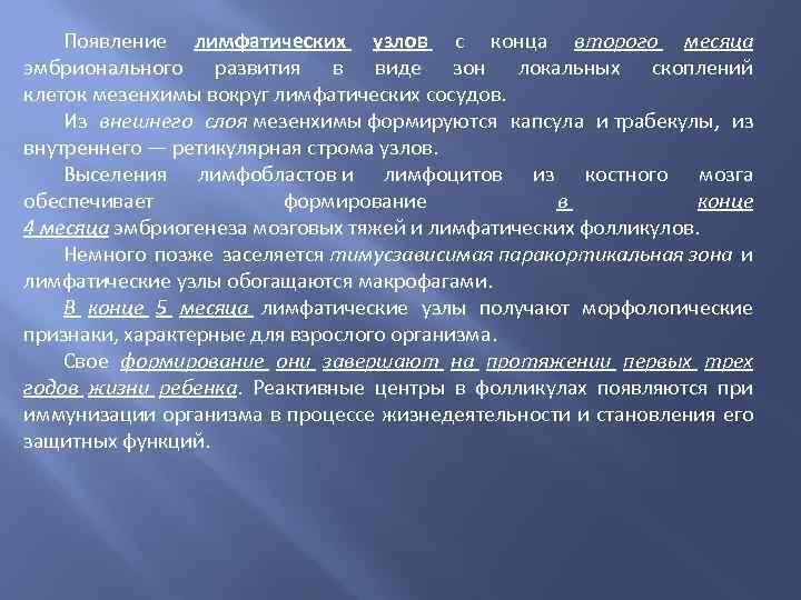 Появление лимфатических узлов с конца второго месяца эмбрионального развития в виде зон локальных скоплений