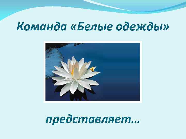 Команда «Белые одежды» представляет… 