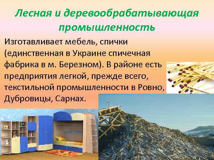 Лесная и деревообрабатывающая промышленность Изготавливает мебель, спички (единственная в Украине спичечная фабрика в м.
